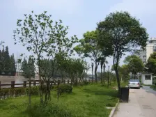 一梯两户 板式户型 景观楼层 业主诚售