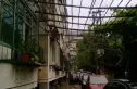 槐柏树街南里实景图