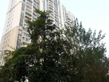 滨江高区南北通景观房 可看三件套,冬暖夏凉,精装修