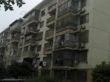 中环内+杨思前滩中间楼层南北通‘业主诚意出售