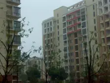 前滩南 江月路 联航路地铁口 景观楼层 电梯精装修三房