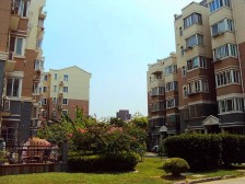 明珠+边套+好位置安静+新chu中+新杨思板块