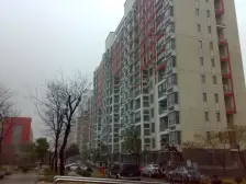 浦江世博家园十四街坊 1室1厅 南 北