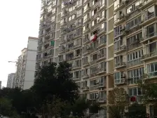 无抵押 精装,刚需上车,必看好房