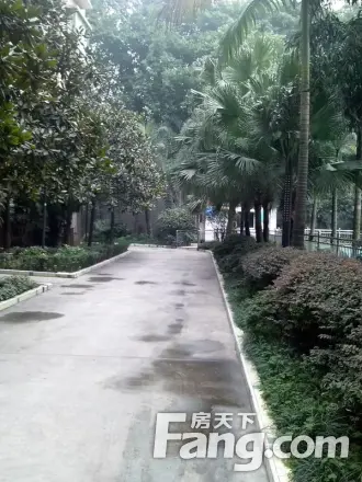 金科花园实景图