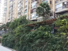 电梯高层,东边套,精装三房,双阳台