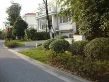 金爵别墅 5室3厅 南