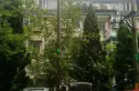 槐柏树街南里实景图
