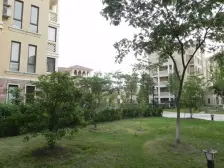 东泰花园 1室1厅 南 北