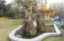 枫亚苑实景图