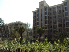 聚焦前滩 在建新杨思 次新商品房电梯一房,3轨交通