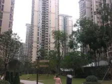 山顶道国宾城 1室1厅 东