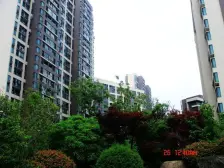 运营总主推总价低三开间朝南前排视野采光好近地铁