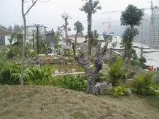 房子是住宅性质,70年产权,精装,配置齐全