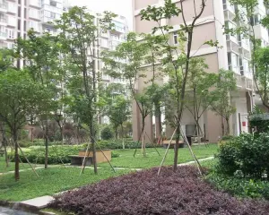 光华岁月二期 3室2厅 西南