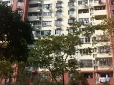 全新毛坯房,南北通透,户型方正,近地铁站