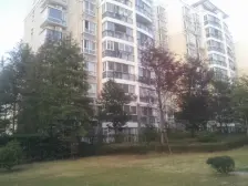 康桥张江前滩+近地铁+采光无遮挡+前后视野好+得房率高