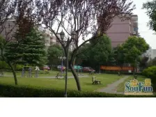 申泉花苑2室东朝向438.00万元/套出售