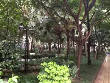 黄泥磅 天一华府二房92万