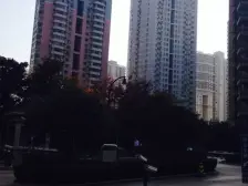 陆家嘴大三房全明户型满五年税费少~精装修~菊园可上