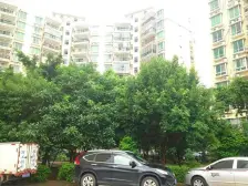 茂泽大厦 100平68万 北大路电梯房 高层