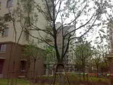 水语人家2室南朝向210.00万元/套出售