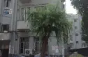 定慧寺西里实景图