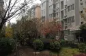 枫亚苑实景图