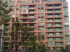 近地铁 电梯房 随时看房,新上房源