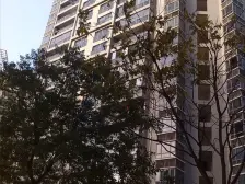 中邦城市 1室2厅 西南