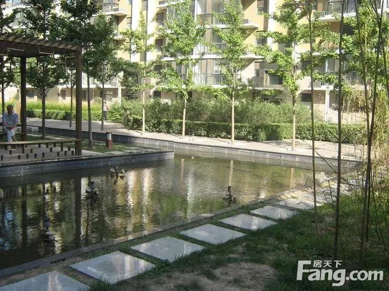 实景图