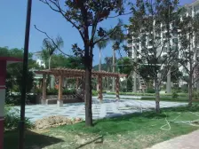 三正半山棕榈园三房两卫,高楼层,业主诚心卖的