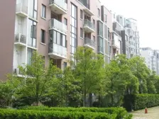 小区优选双南大一房,出价你就来