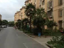 莘南花苑一村 2室1厅1卫 南