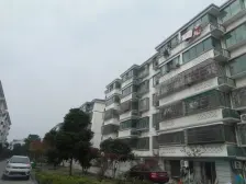 大三房两厅两卫 全明户型 通透明亮 户型方正 楼层好