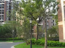 顶楼带阁楼 阁楼有天窗 精装大2房 就只差一个您