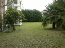 棕榈滩别墅 6室3厅 南 北