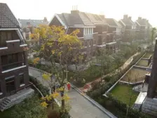 非一楼洋房别墅社区双南户型环境优美近地铁站