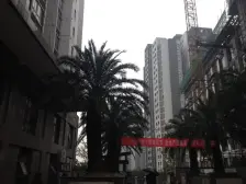 回兴 东衡槟城二房59万