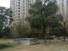 顾村·保利叶上海(南区别墅)·5室·5厅