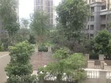 凡尔赛独栋别墅 一线看湖