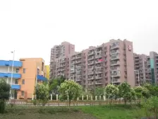 聚丰景都南北通透一居室有山姆,7/15号线南大项目