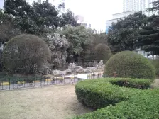 玉兰花苑1室南朝向660.00万元/套出售