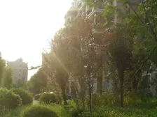 绿地毛坯3房 飞机户型 楼层好 近万达 业主诚意出售