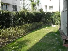 徐泾·大华西郊别墅·5室·3厅