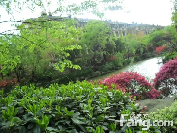 湖滨花园实景图