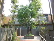 童家溪 中安长岛二区四房300万