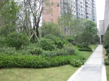 万科经典全南两房,通风采光好,精装修,满五税费少