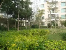 龙华 · 百汇园 · 2室 · 2厅