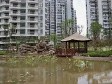 近地铁 电梯房,新上房源